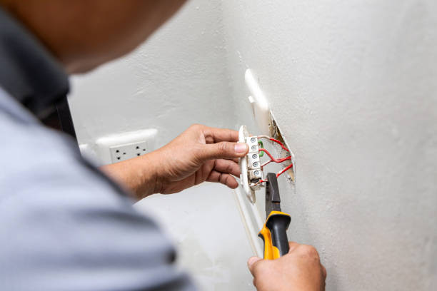Best Home Electrical Repair  in Seadrift, TX